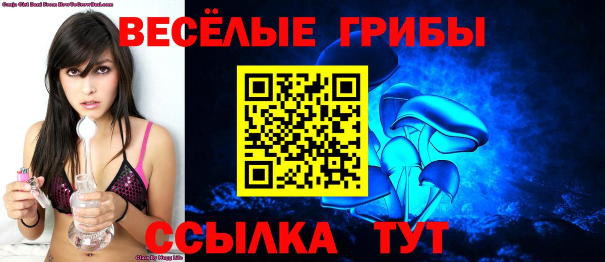 Щёлково  Галлюциногенные грибы Cubensis  Вход с VPN 